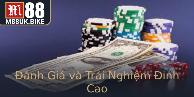 Đánh Giá và Trải Nghiệm Đỉnh Cao Đánh Giá và Trải Nghiệm Đỉnh Cao