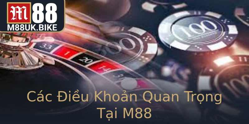 Các Điều Khoản Quan Trọng Tại M88 Các Điều Khoản Quan Trọng Tại M88