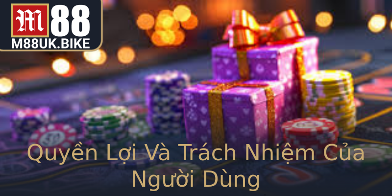 Quyền Lợi Và Trách Nhiệm Của Người Dùng